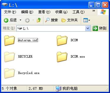 在资源管理器中查看两个伪装成文件夹的EXE病毒文件