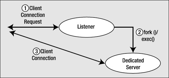 the listener process and dedicated server connection