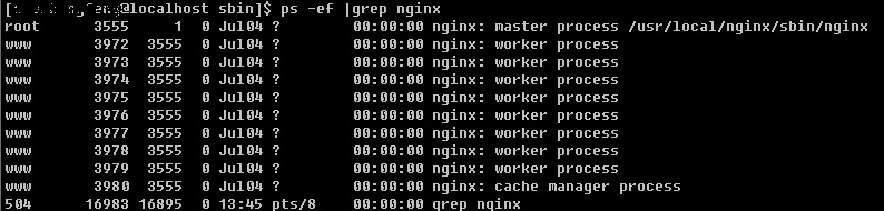 Linux下确定网站服务的安装目录
