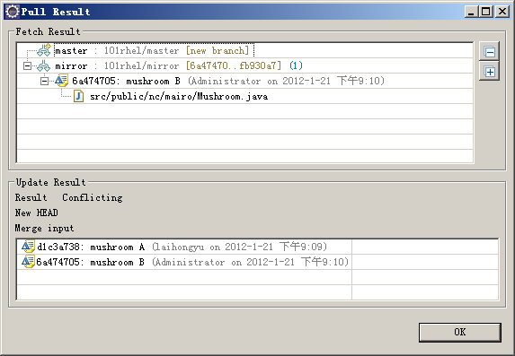 Eclipse上GIT插件EGIT使用手册_服务器_25